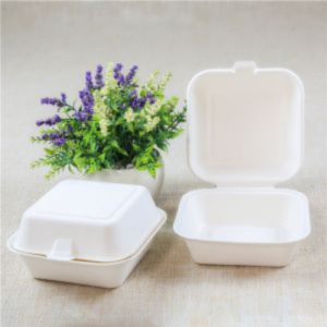 BENTO BOX 6INC